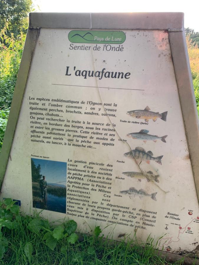 Les Jardins D'Elise, Calme Et Verdure A Lure Lure  Luaran gambar