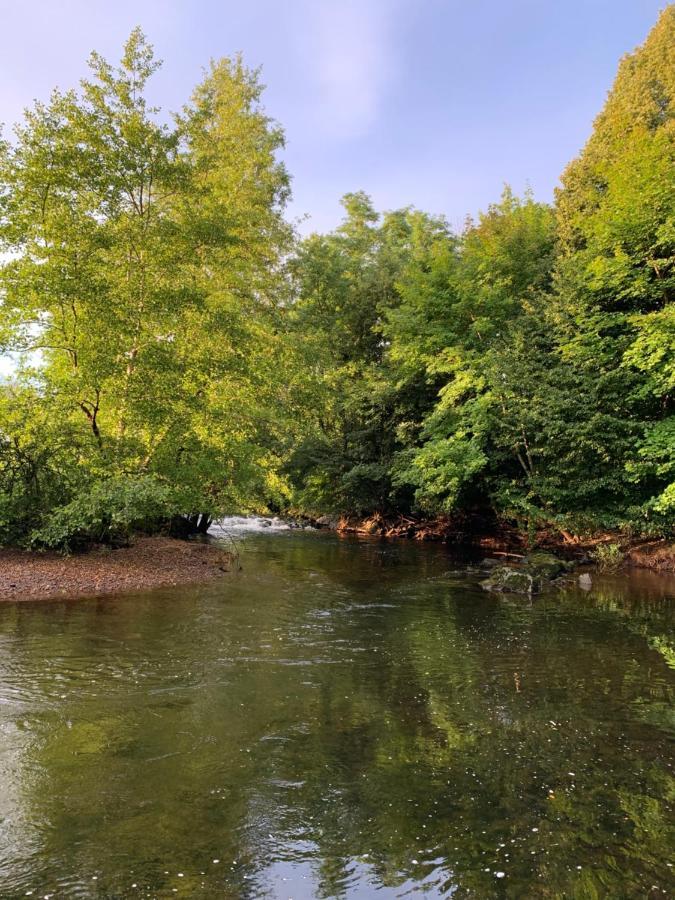 Les Jardins D'Elise, Calme Et Verdure A Lure Lure  Luaran gambar